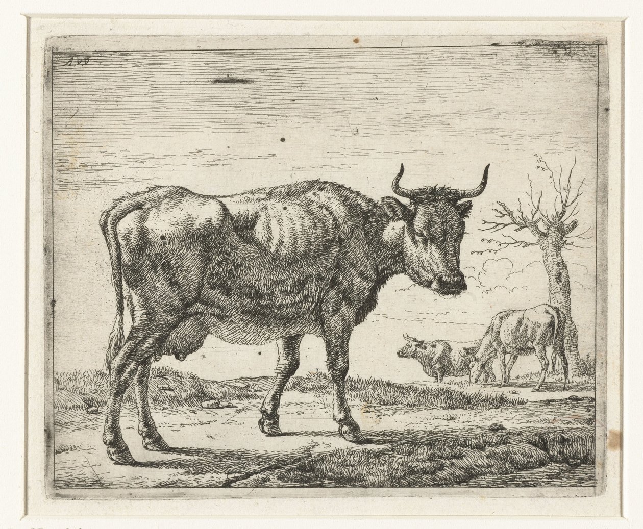 Három tehén Különböző állatok (sorozat címe) alkotó: Adriaen van de Velde