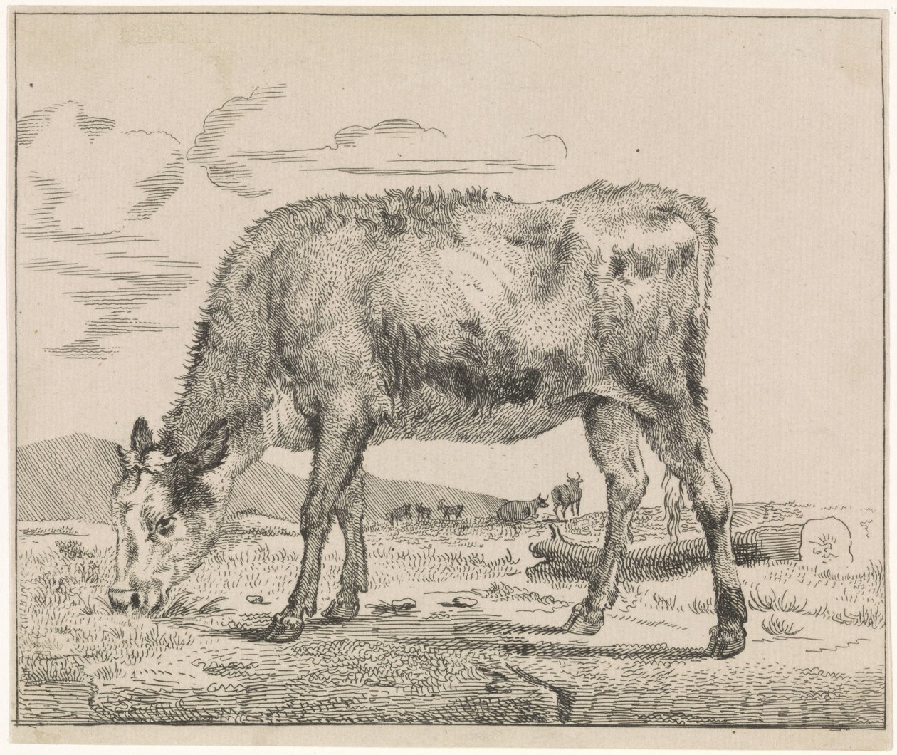 Legelő borjú Szarvasmarha (sorozat címe) alkotó: Adriaen van de Velde