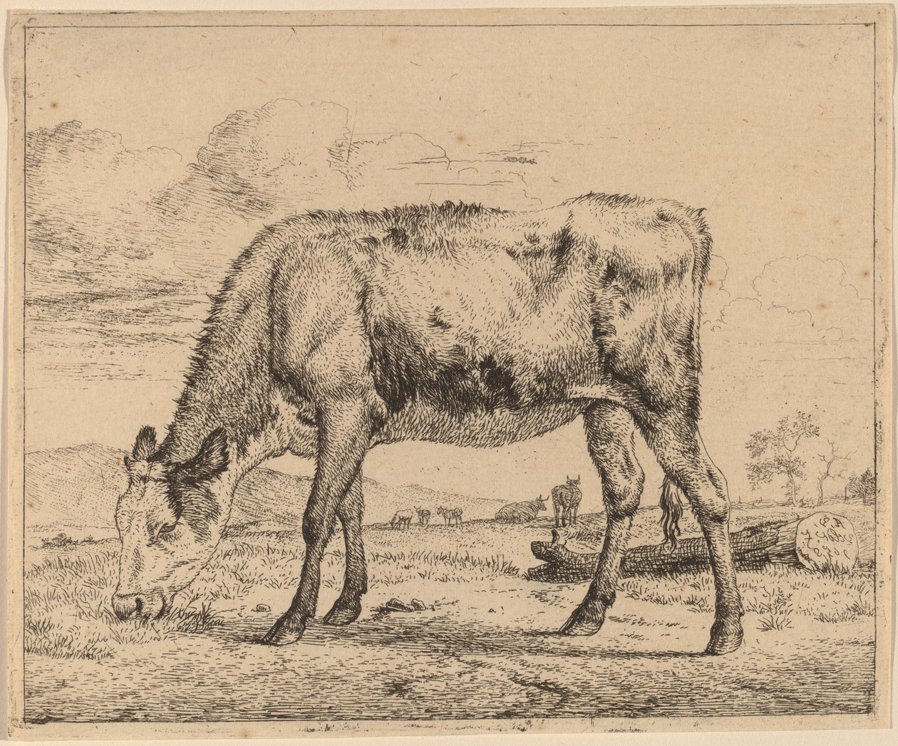 Legelő borjú alkotó: Adriaen van de Velde