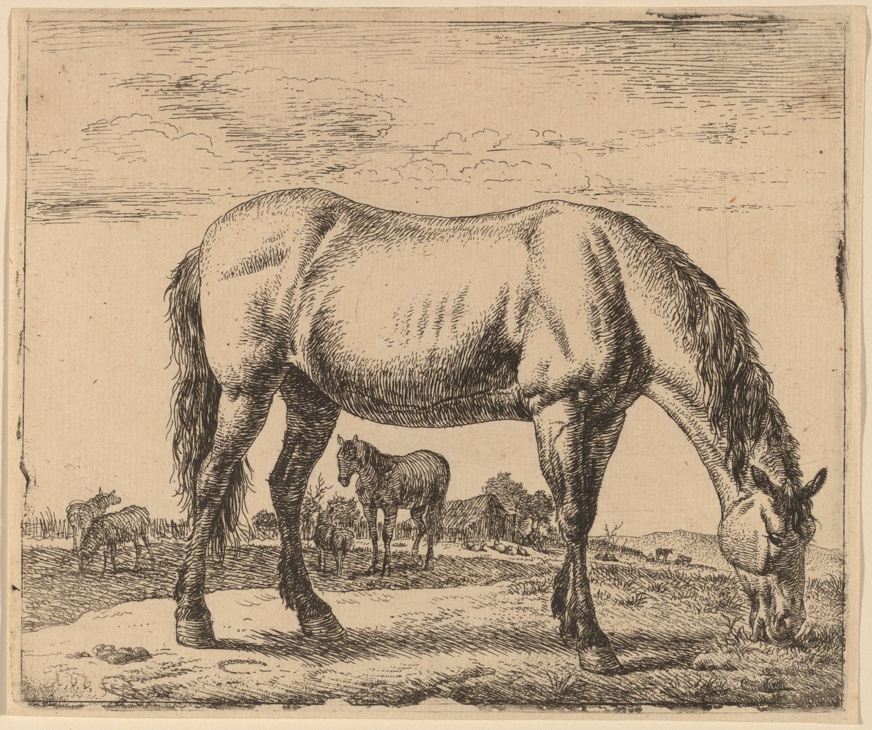 Legelő ló alkotó: Adriaen van de Velde