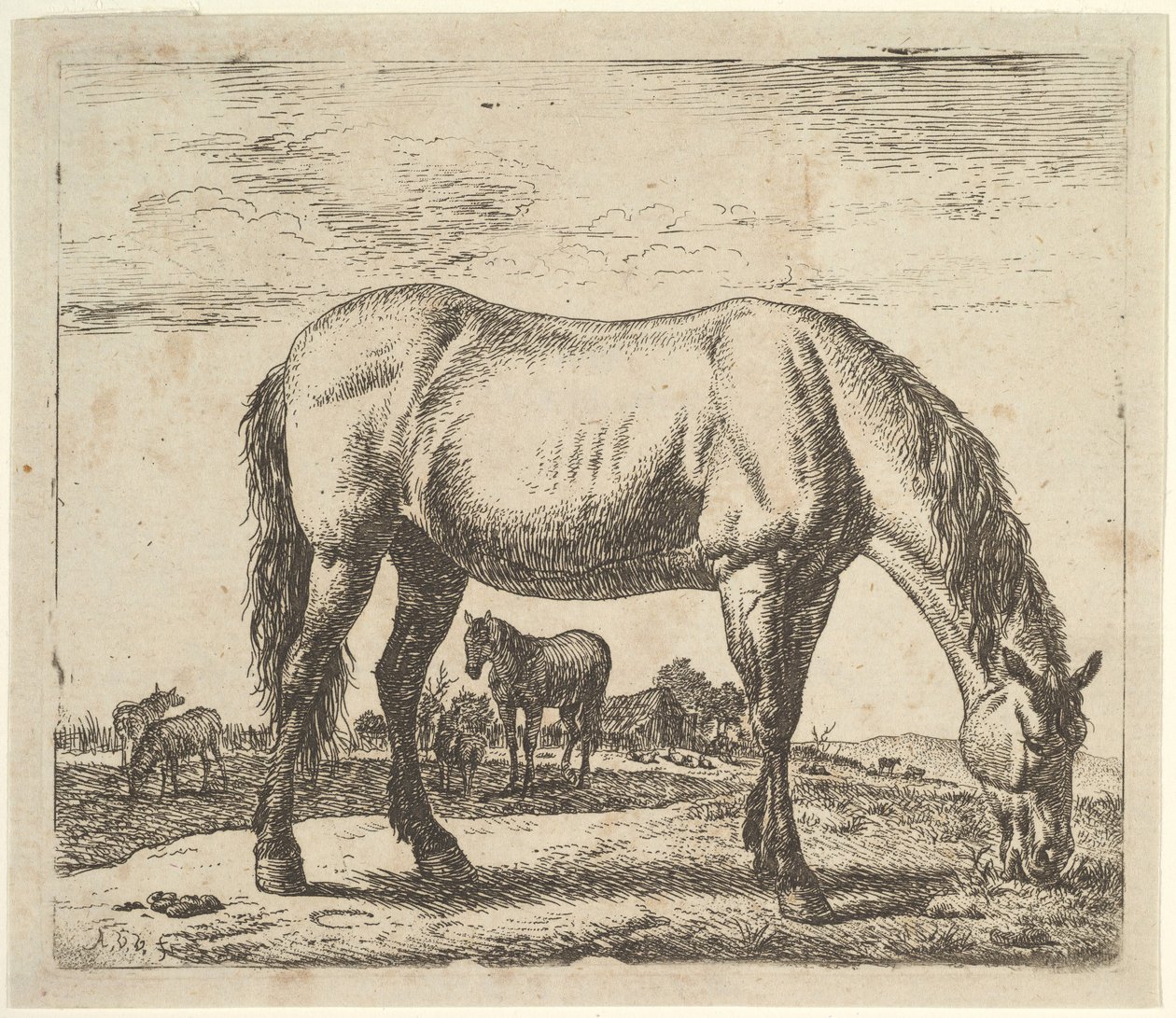 Legelő ló, különböző állatokból. alkotó: Adriaen van de Velde