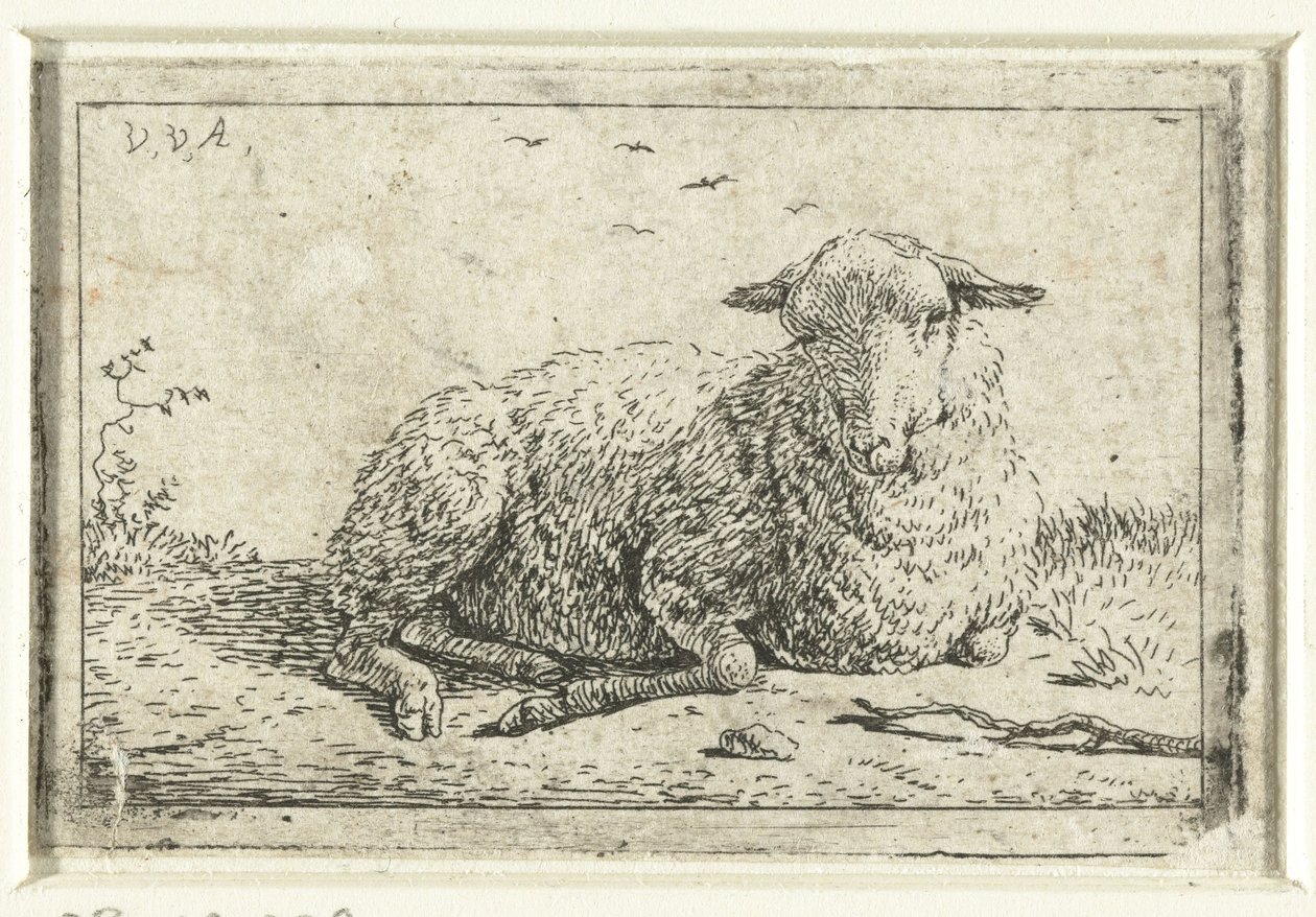 fekvő bárány alkotó: Adriaen van de Velde