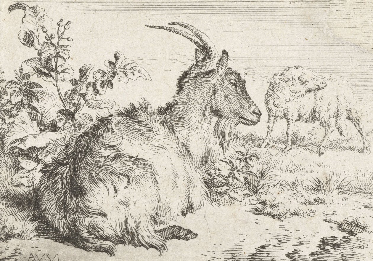 Fekvő kecske, 1670 alkotó: Adriaen van de Velde