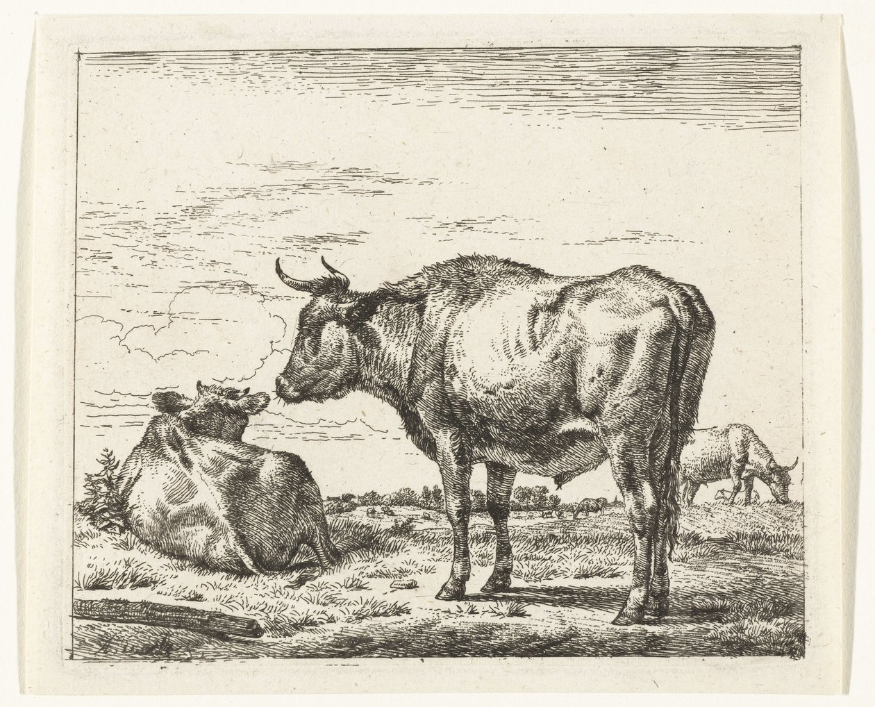 álló bika Különböző állatok (sorozat címe) alkotó: Adriaen van de Velde