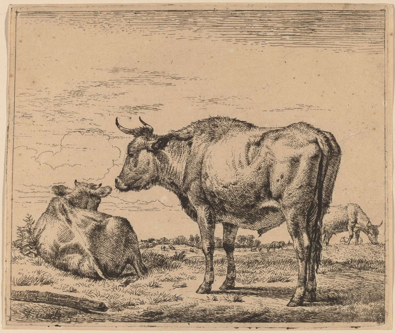 Álló bika alkotó: Adriaen van de Velde