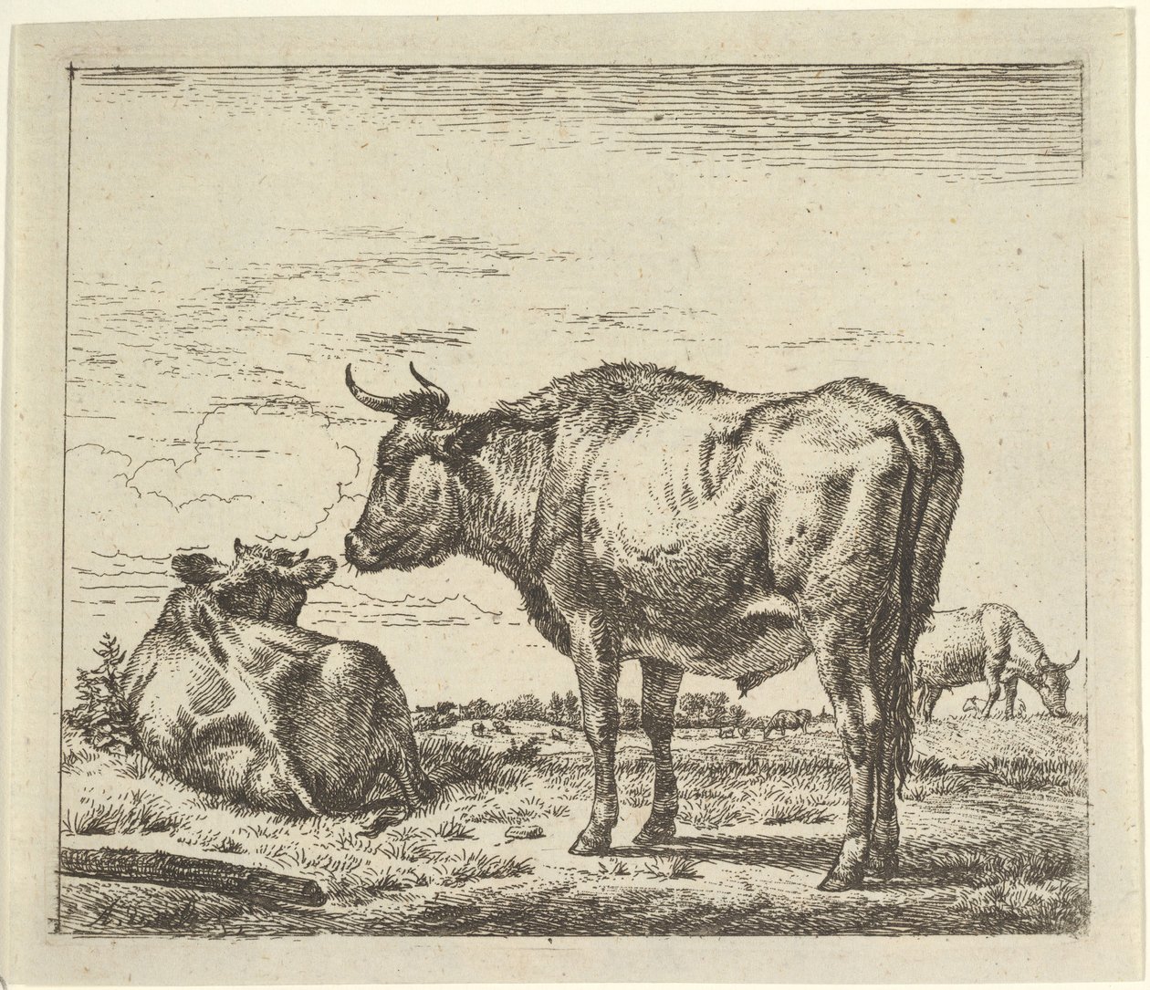Álló bika, a különböző állatoktól. alkotó: Adriaen van de Velde