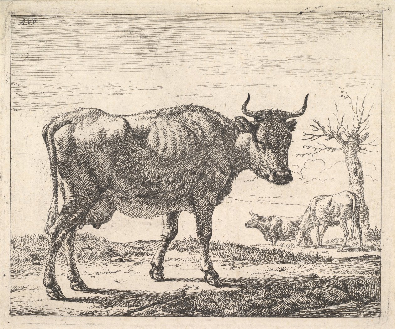 Három tehén. alkotó: Adriaen van de Velde