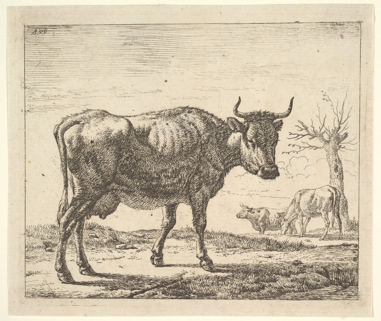 Három tehén, különböző állatokból. alkotó: Adriaen van de Velde