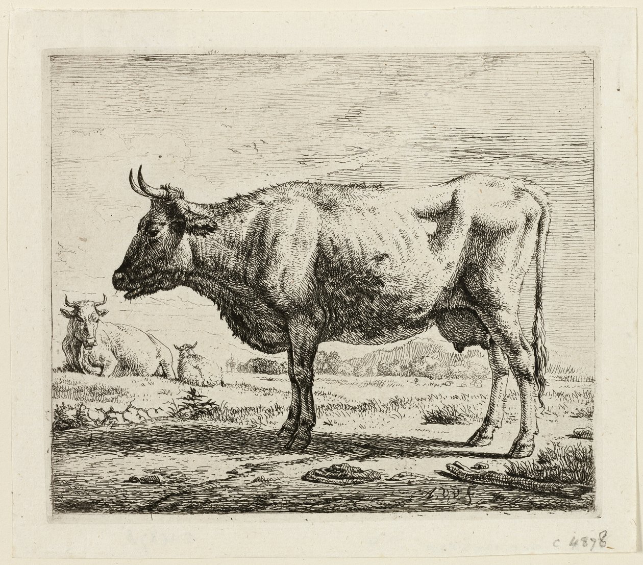Két tehén és egy birka alkotó: Adriaen van de Velde