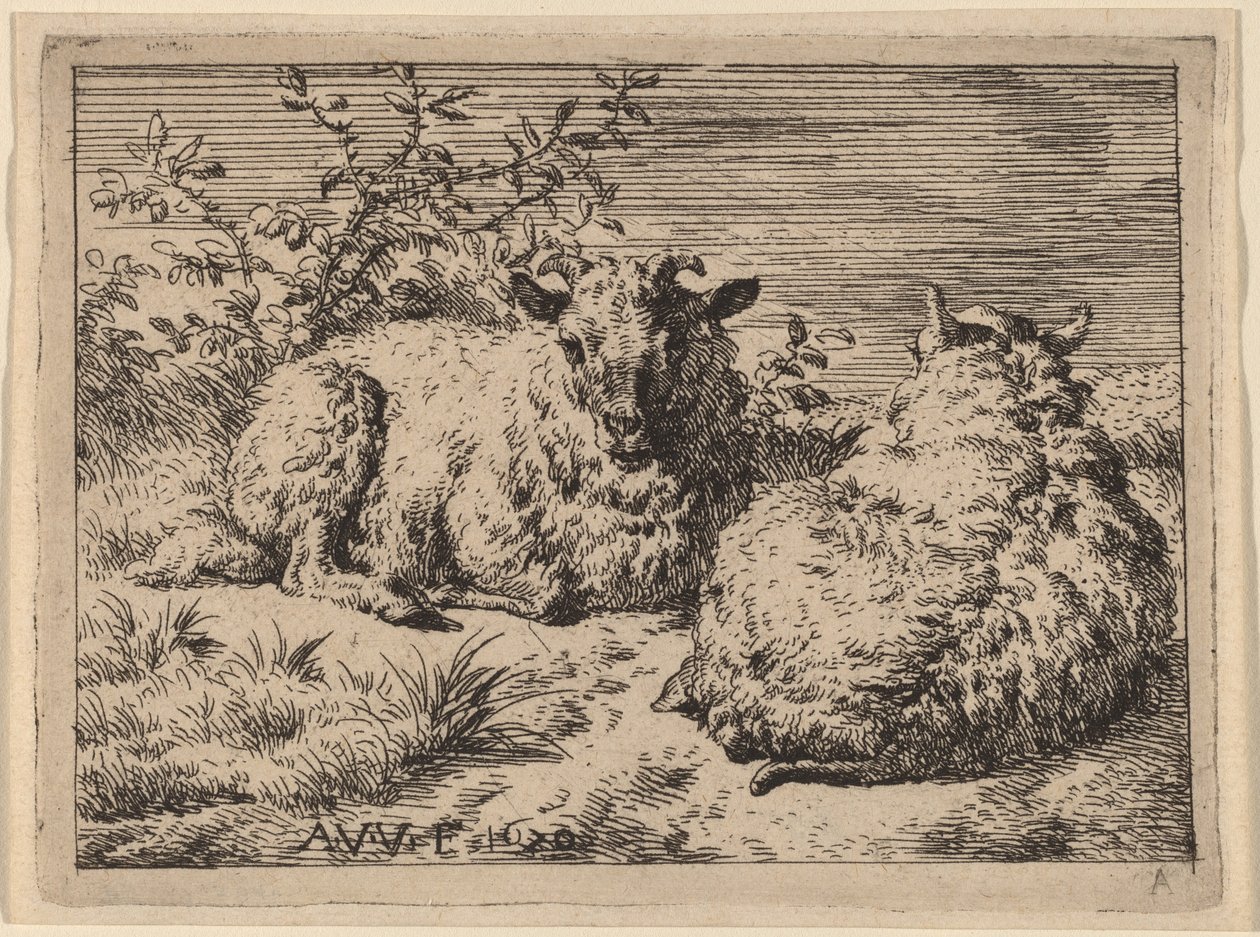 Két fekvő bárány alkotó: Adriaen van de Velde