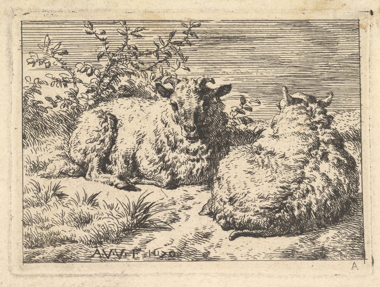 Két fekvő bárány, 1670. alkotó: Adriaen van de Velde