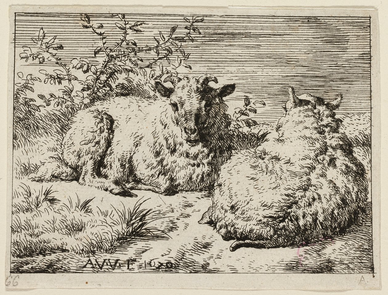 Két birka alkotó: Adriaen van de Velde