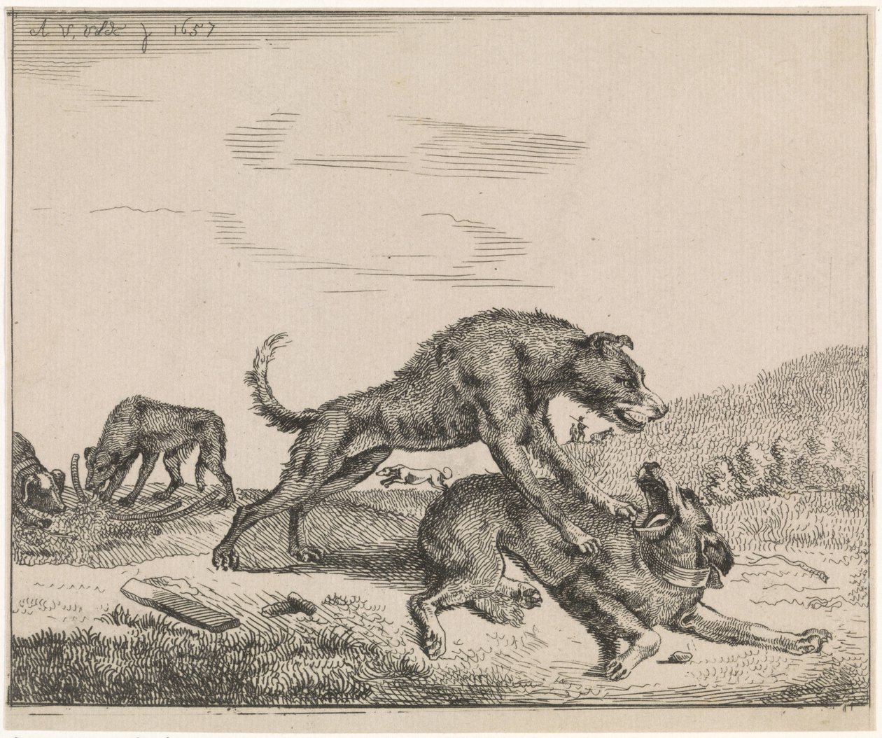 harci kutyák Állattenyésztés (sorozat címe) alkotó: Adriaen van de Velde