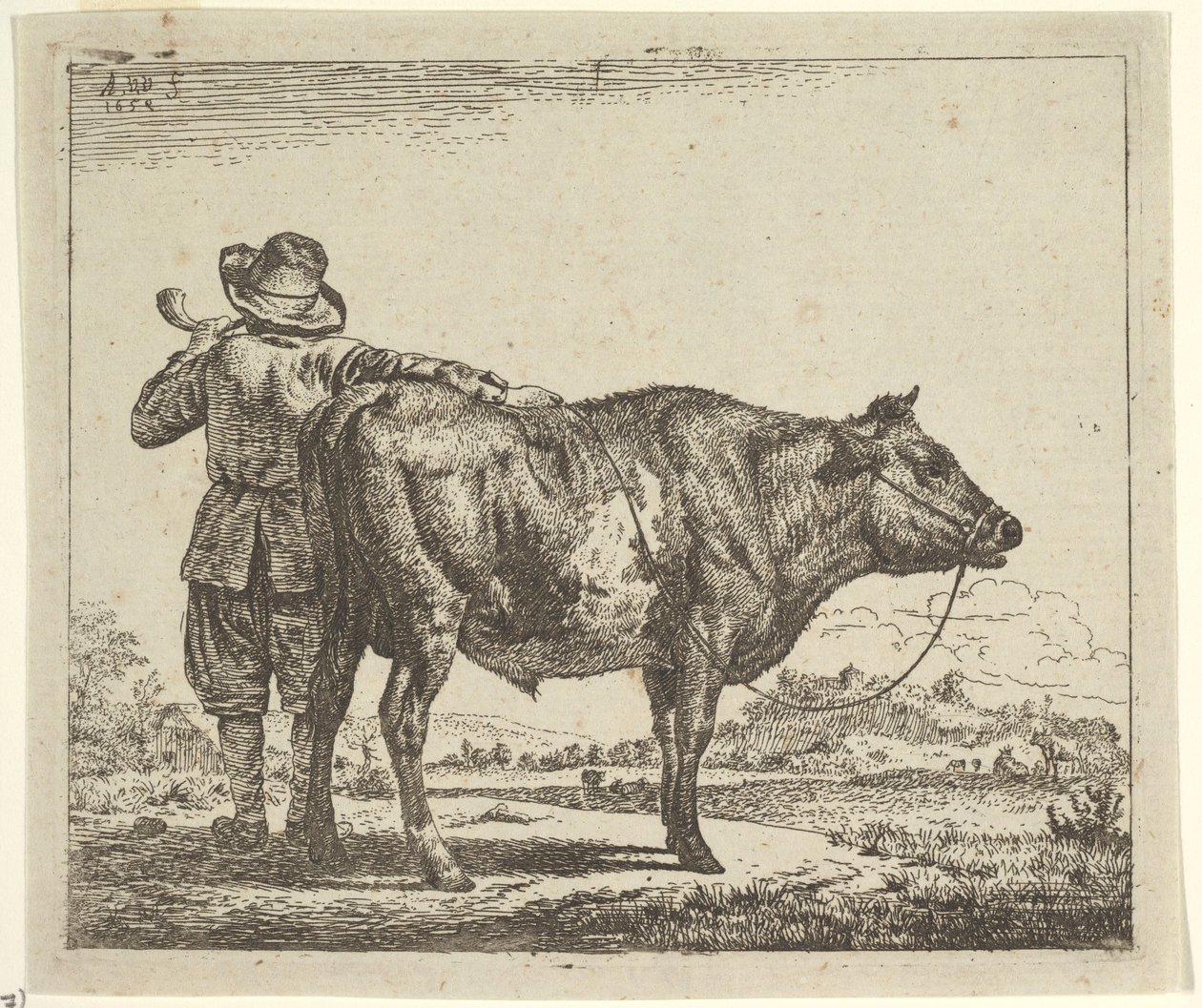 Fiatal pásztor bikával, a különböző állatokból, 1659. alkotó: Adriaen van de Velde