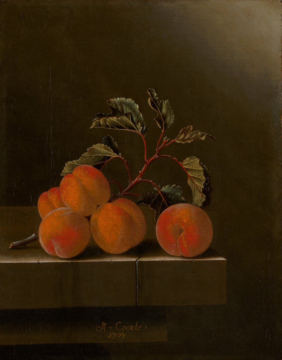 Csendélet öt sárgabarackkal, 1704 alkotó: Adrian Coorte
