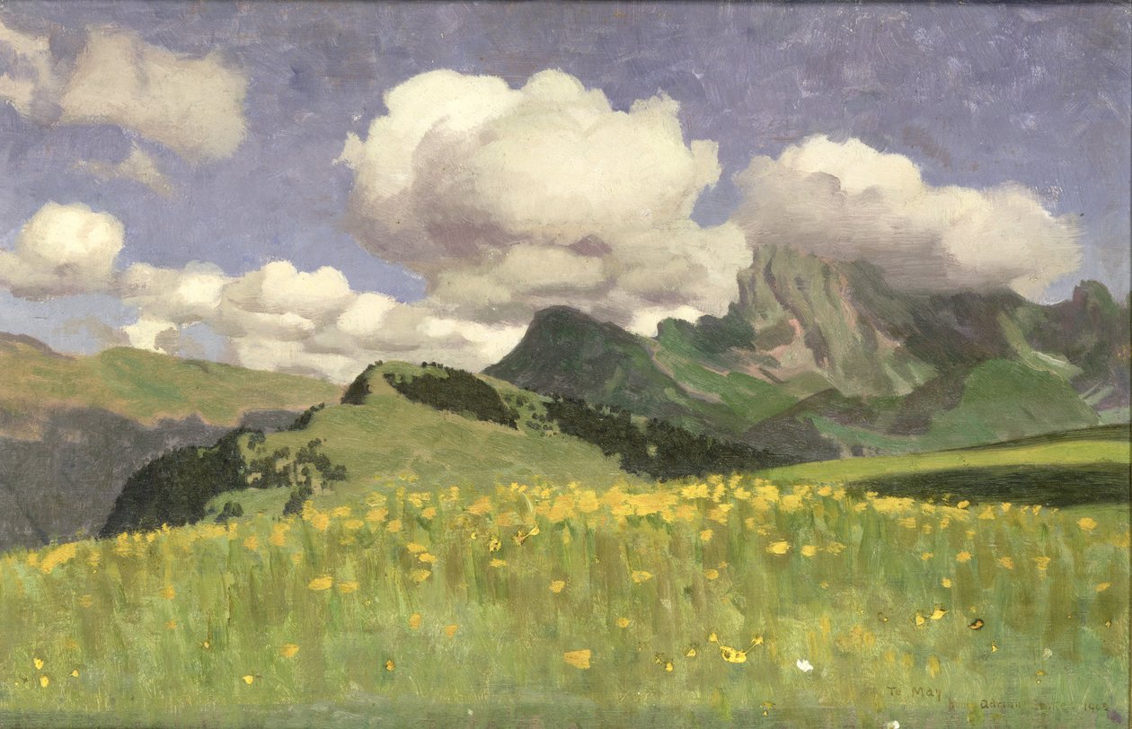 Körömvirágmező, Alsó-Alpok, 1902 alkotó: Adrian Scott Stokes