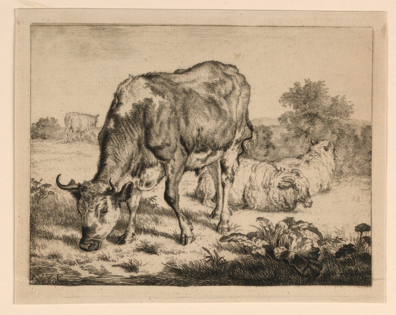 Ökör és három bárány alkotó: Adrian van de Velde