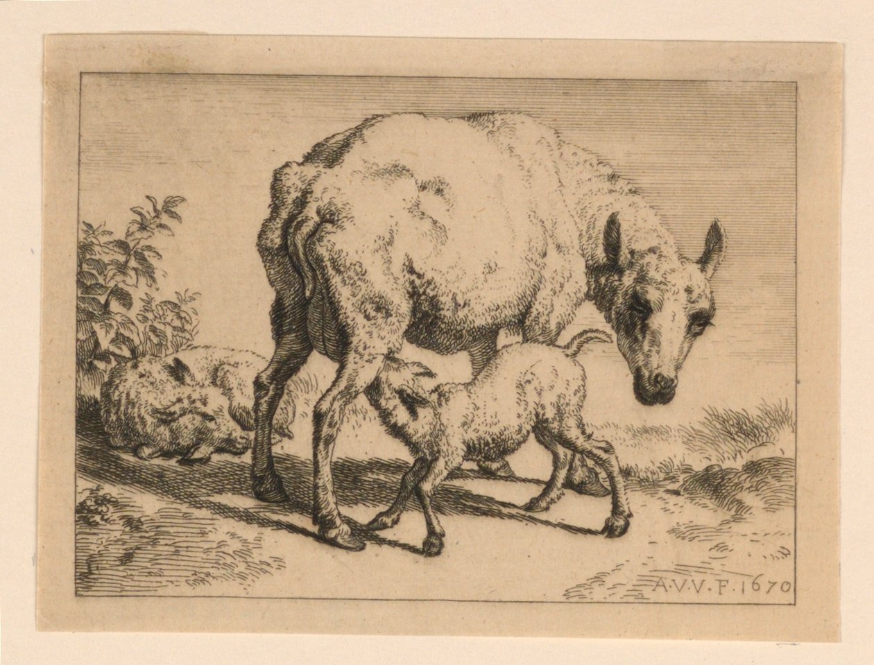 Az Ewe alkotó: Adrian van de Velde