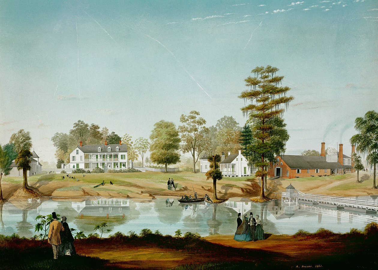 Az Olivier-ültetvény, 1861 alkotó: Adrien Persac