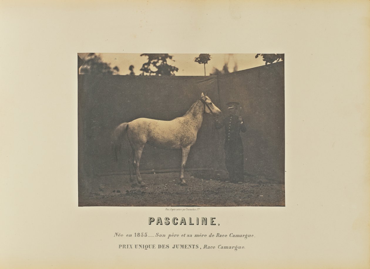 Pascaline alkotó: Adrien Alban Tournachon