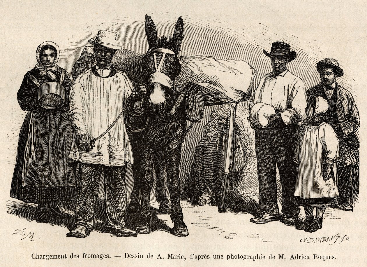 Sajtok rakodása egy öszvér hátára, Roquefort pincéi felé, metszet A.Marie rajza után, amely Roquefortba és környékére tett utazást illusztrálja, Adrien Roques és Jules Charton 1874-ben, megjelent a "" Le tour du monde””” alkotó: Adrien Emmanuel Marie