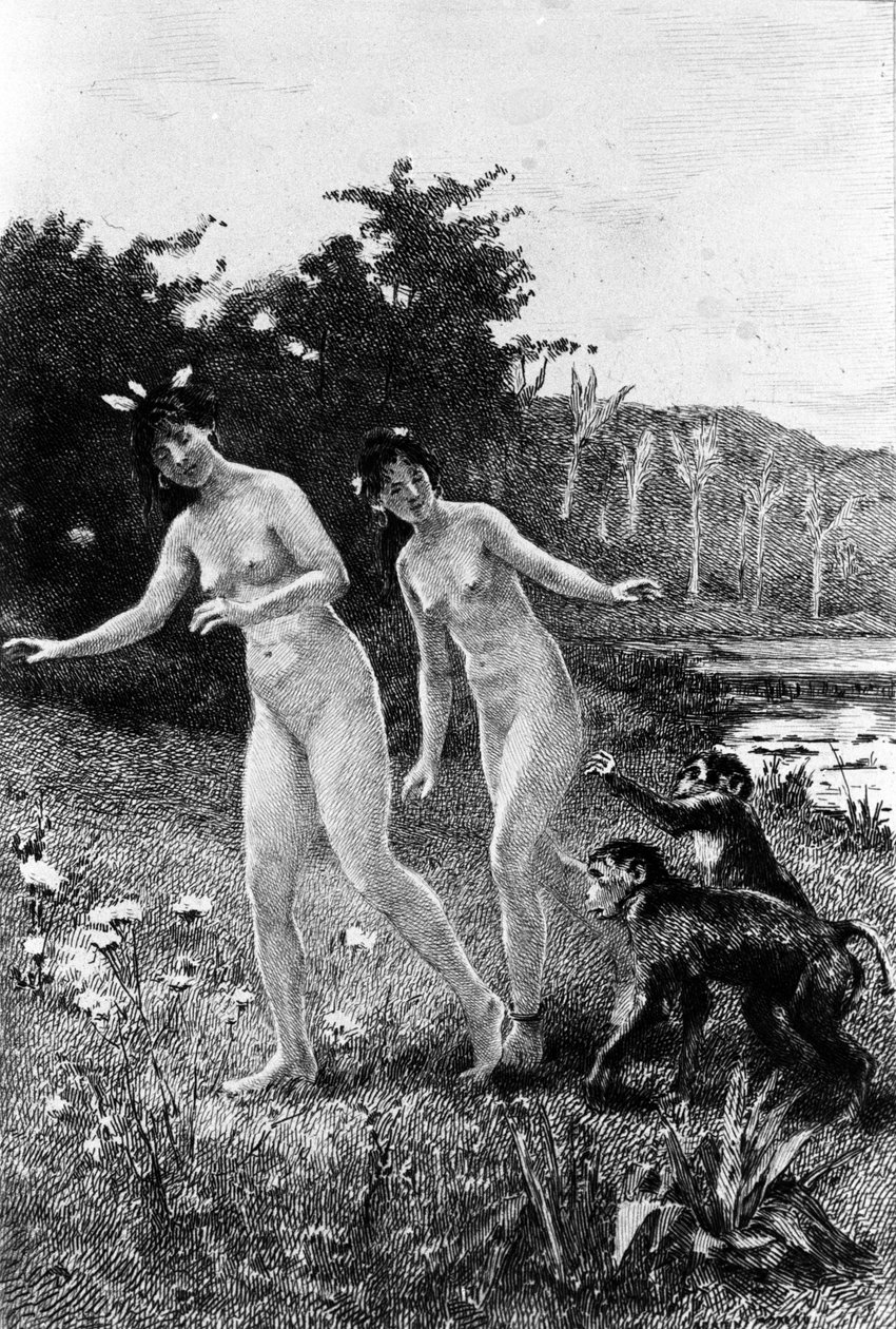 Adrien Moreau (1843-1906) metszete, amely Francois Marie Arouet dit Voltaire (1694-1778) „” Candide”-ját illusztrálja. alkotó: Adrien Moreau