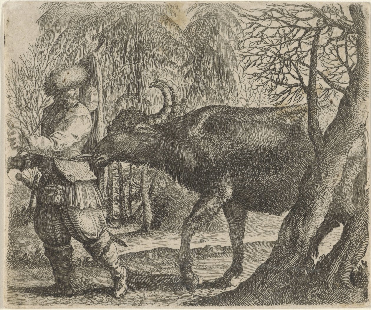 Mese a bivalyról és a farmerről alkotó: Egidius  Sadeler (II)