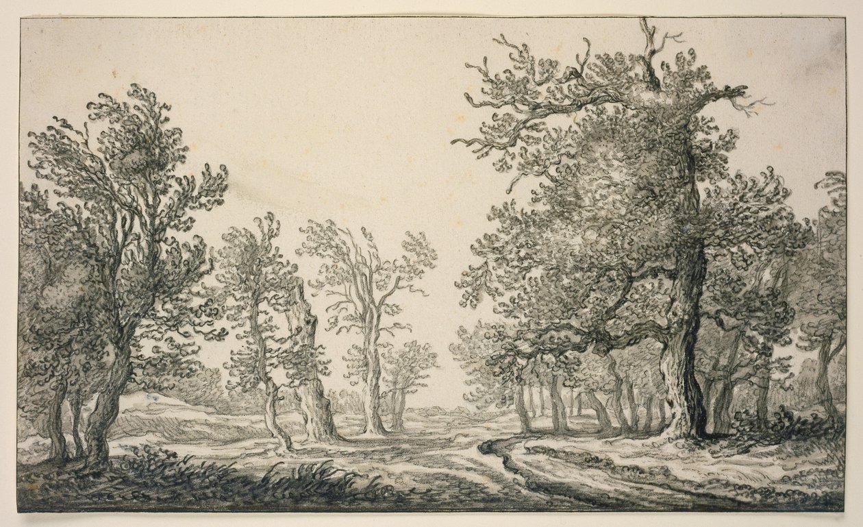 Ösvény tölgyerdőn át alkotó: Aelbert Cuyp