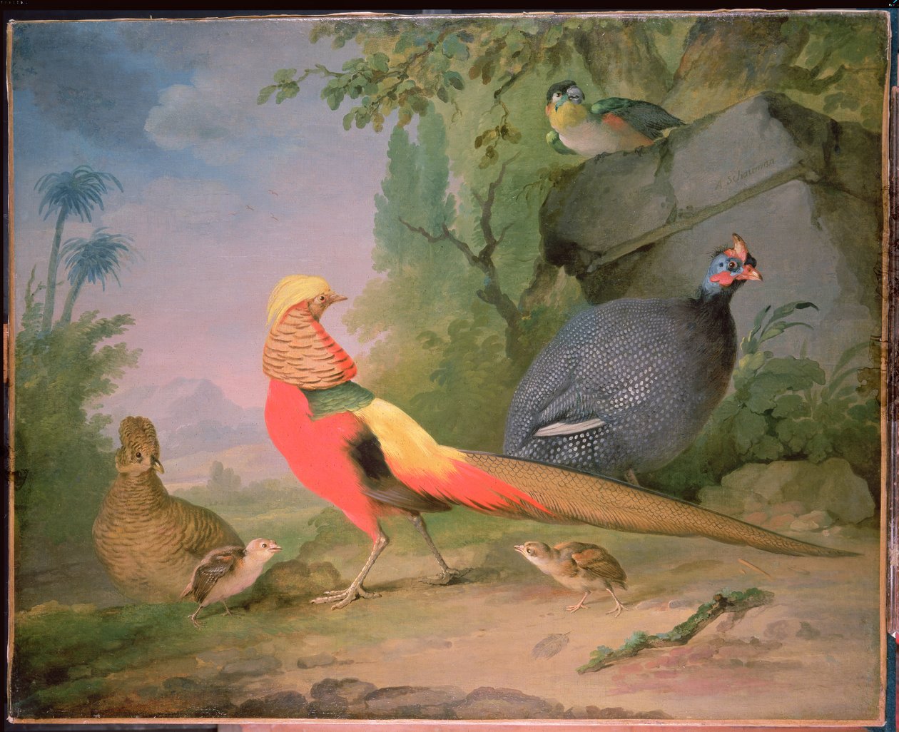 Vadszárnyas alkotó: Aert Schouman