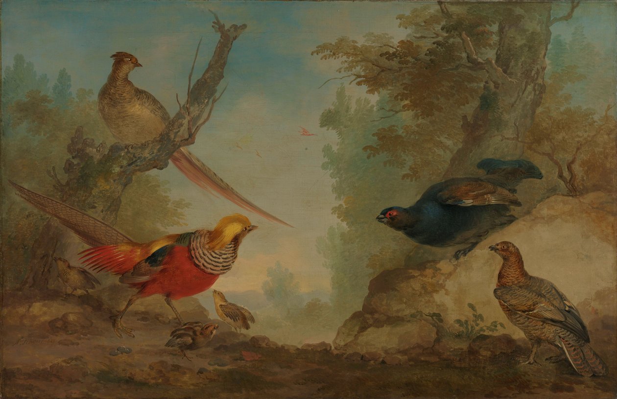 Fácánok alkotó: Aert Schouman