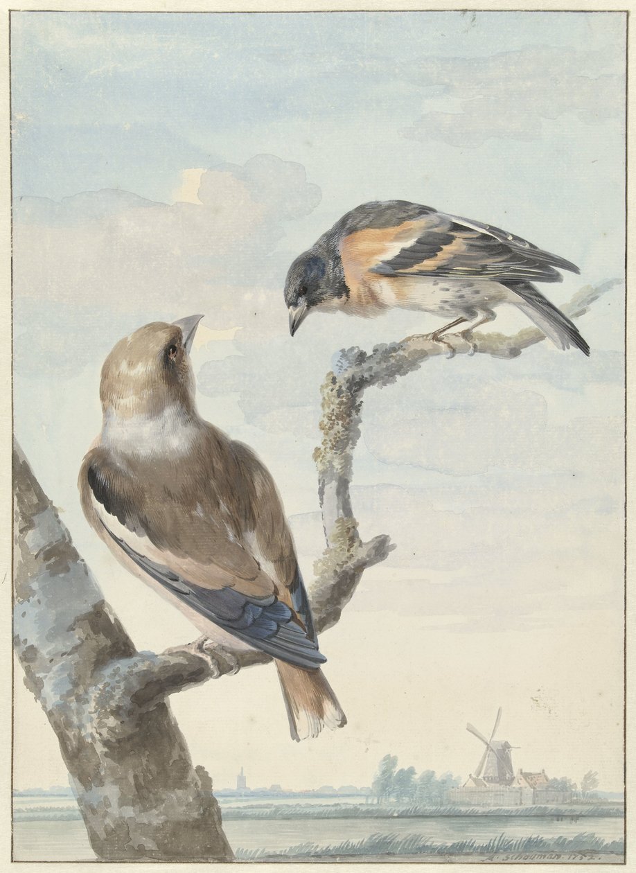 Két madár: egy galagonya (Coccothraustes coccothraustes) és egy hal (Fringilla montifringilla) alkotó: Aert Schouman