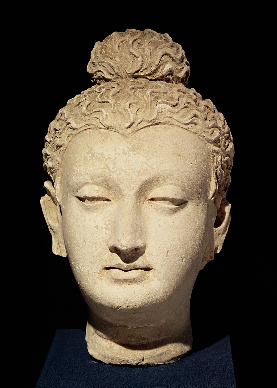 Egy Buddha feje, görög-buddhista stílusban, Haddából (stukkó) alkotó: Afghan School