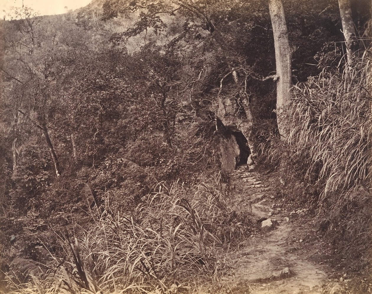 Bal út a Yuen foo kolostorhoz, kb. 1869. alkotó: Afong Lai