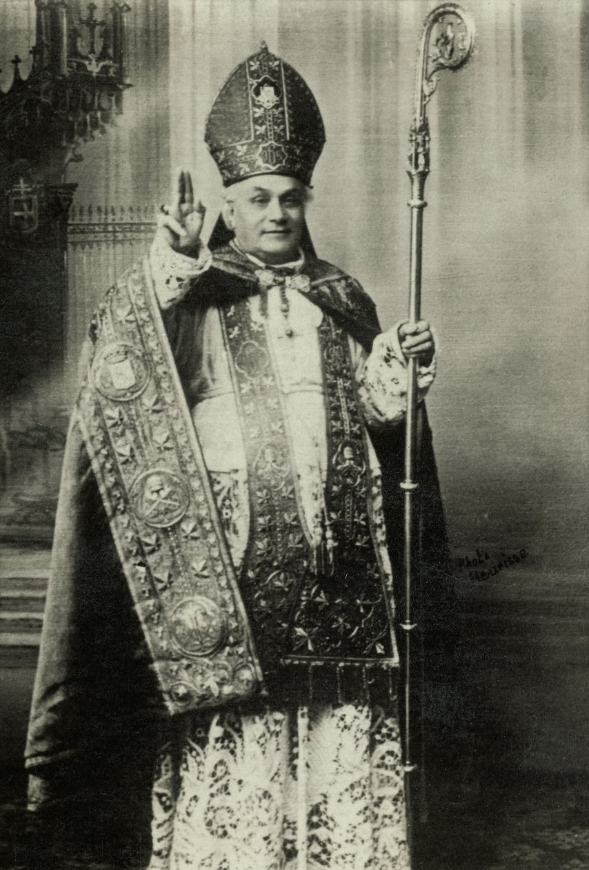 Louis Lucon bíboros portréja (fénykép) alkotó: Agence Meurisse