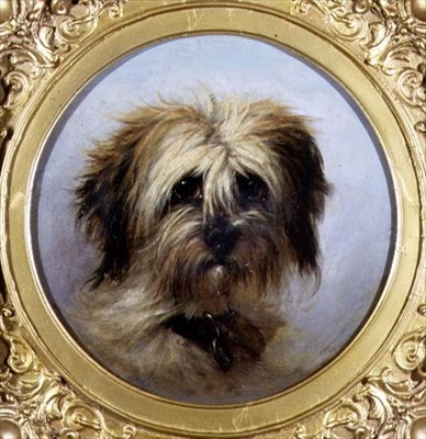 Egy terrier feje (olaj a fedélzeten) alkotó: Agnes Dundas