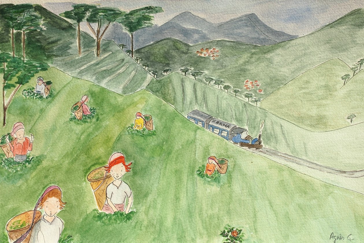 The Voyage, Darjeeling 2015, akvarell papíron alkotó: Agnes Girardon