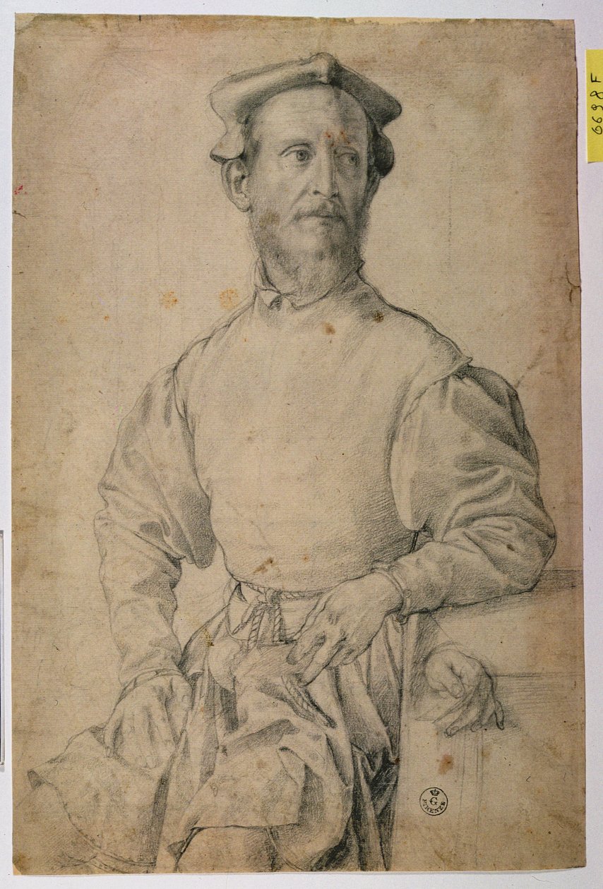 Jacopo Pontormo (1497-1557) portréja (fekete kréta papíron) alkotó: Agnolo Bronzino