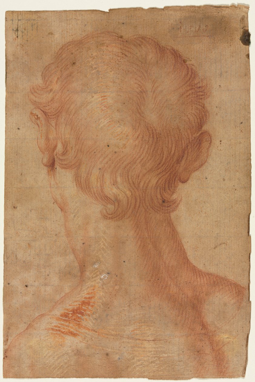 Männerkopf von hinten alkotó: Agnolo Bronzino