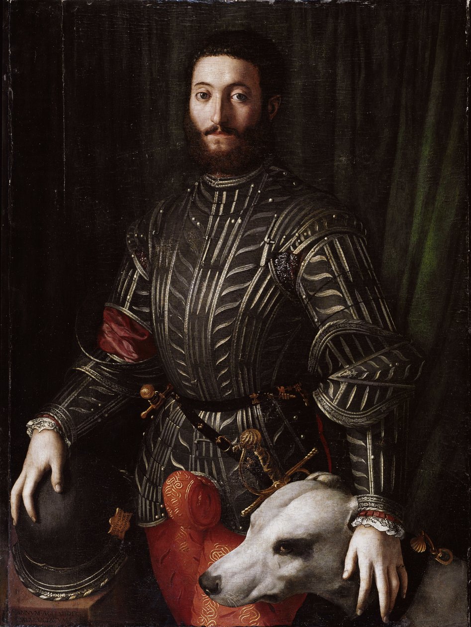 Guidobaldo II Della Rovere (1514-1574) Urbino hercegének portréja (Guidobaldo II della Rovere, Urbino hercege) Bronzino Agnolo di Cosimo di Mariano (1503-1572) festménye 1531-1532, Olaj, fa, 8 cm114x,8 Palazzo Pitti alkotó: Agnolo Bronzino