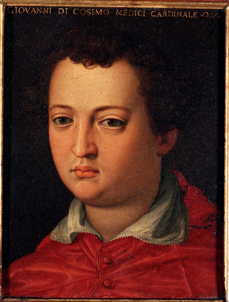 Medici János portréja (Giovanni di Cosimo I de 