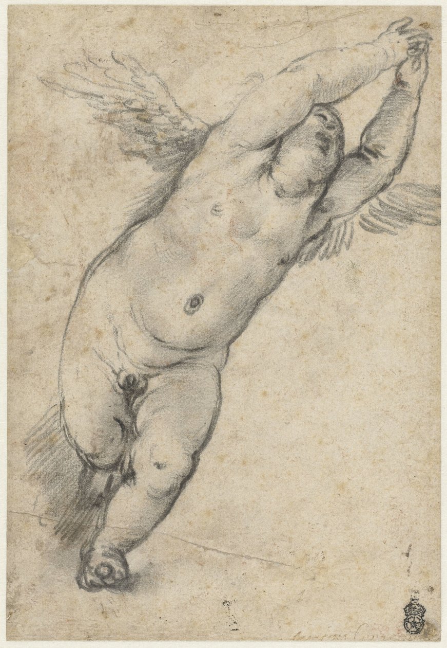 Repülő puttó felemelt karokkal alkotó: Agostino Carracci (attributed to)