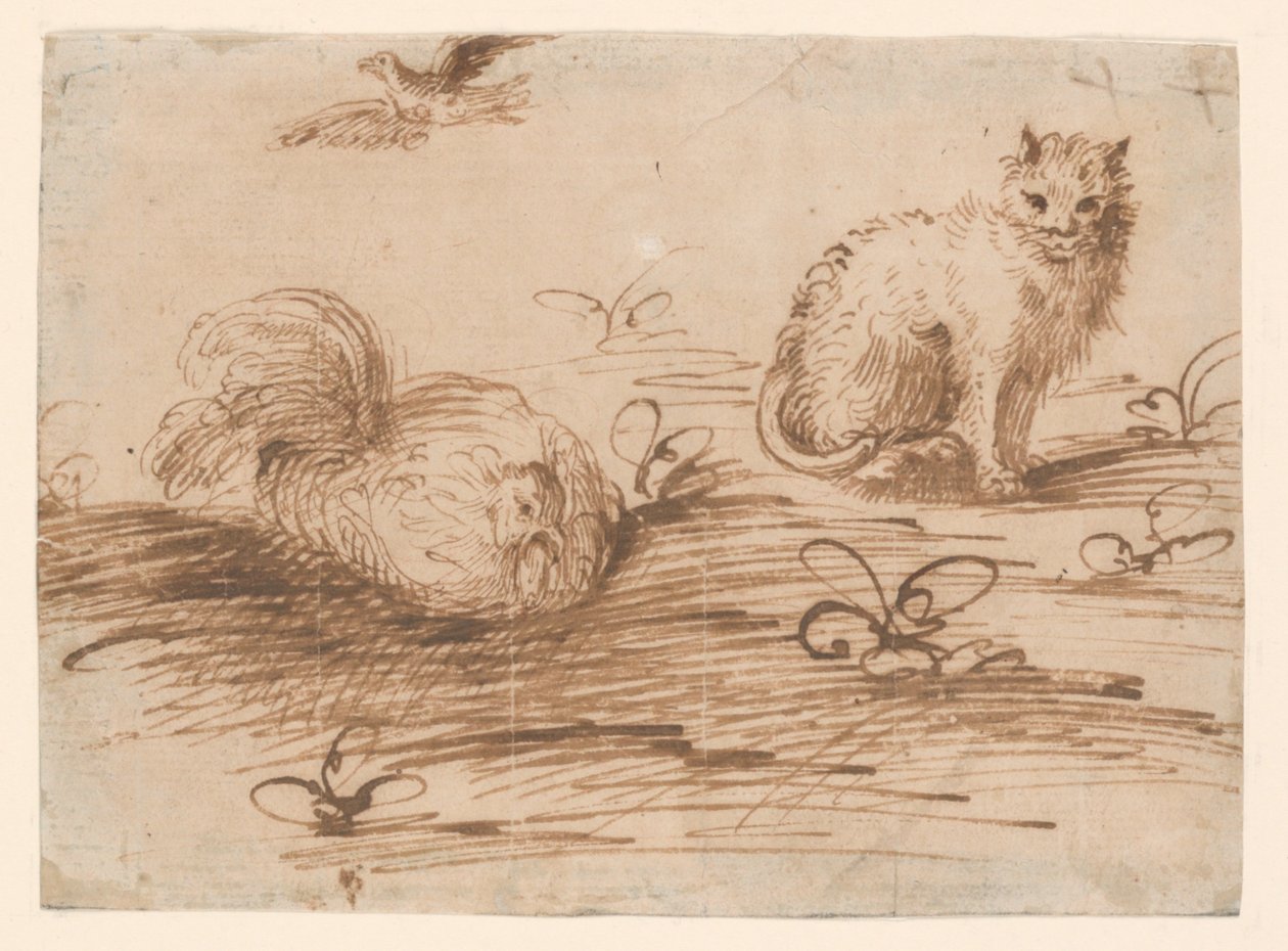 Egy macska és egy tyúk alkotó: Agostino Carracci