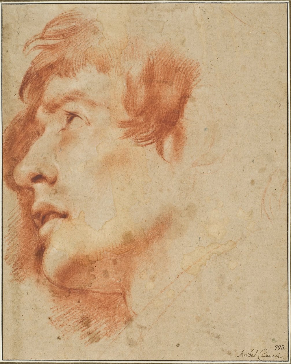 Felfelé tekintő fiatal férfi feje alkotó: Agostino Carracci