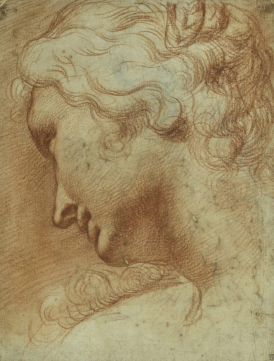 Egy fiatal nő feje lenéz a jobb válla fölött (piros kréta papíron) alkotó: Agostino Carracci