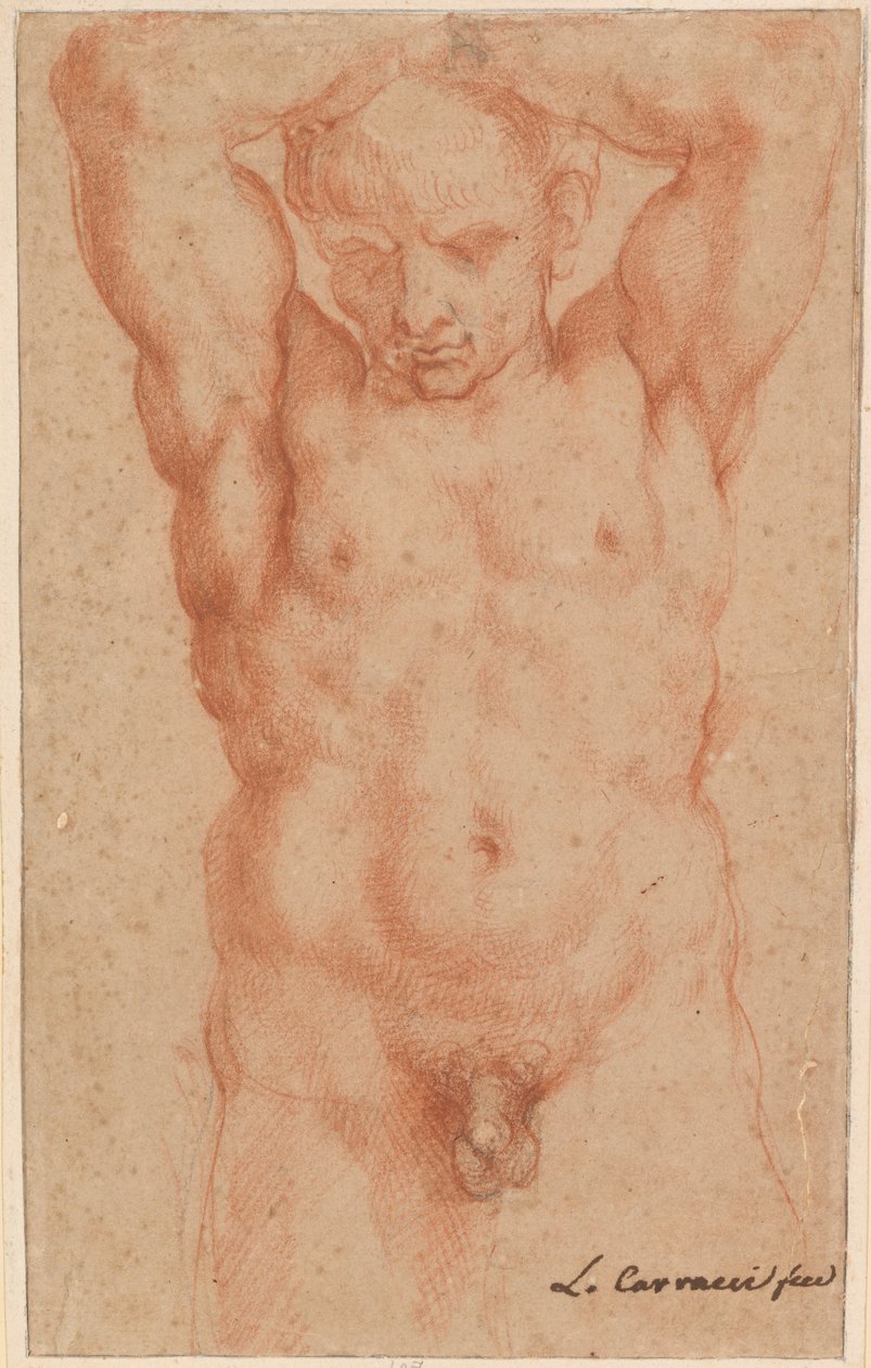 Férfi akt alkotó: Agostino Carracci