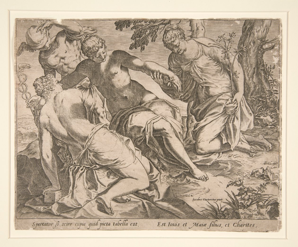 Merkúr és a három grácia alkotó: Agostino Carracci