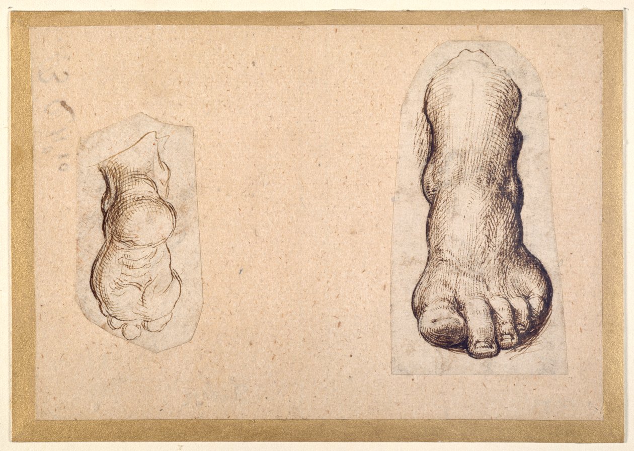 Két tanulmány a lábról a rövidítésben (toll és tinta papíron) alkotó: Agostino Carracci