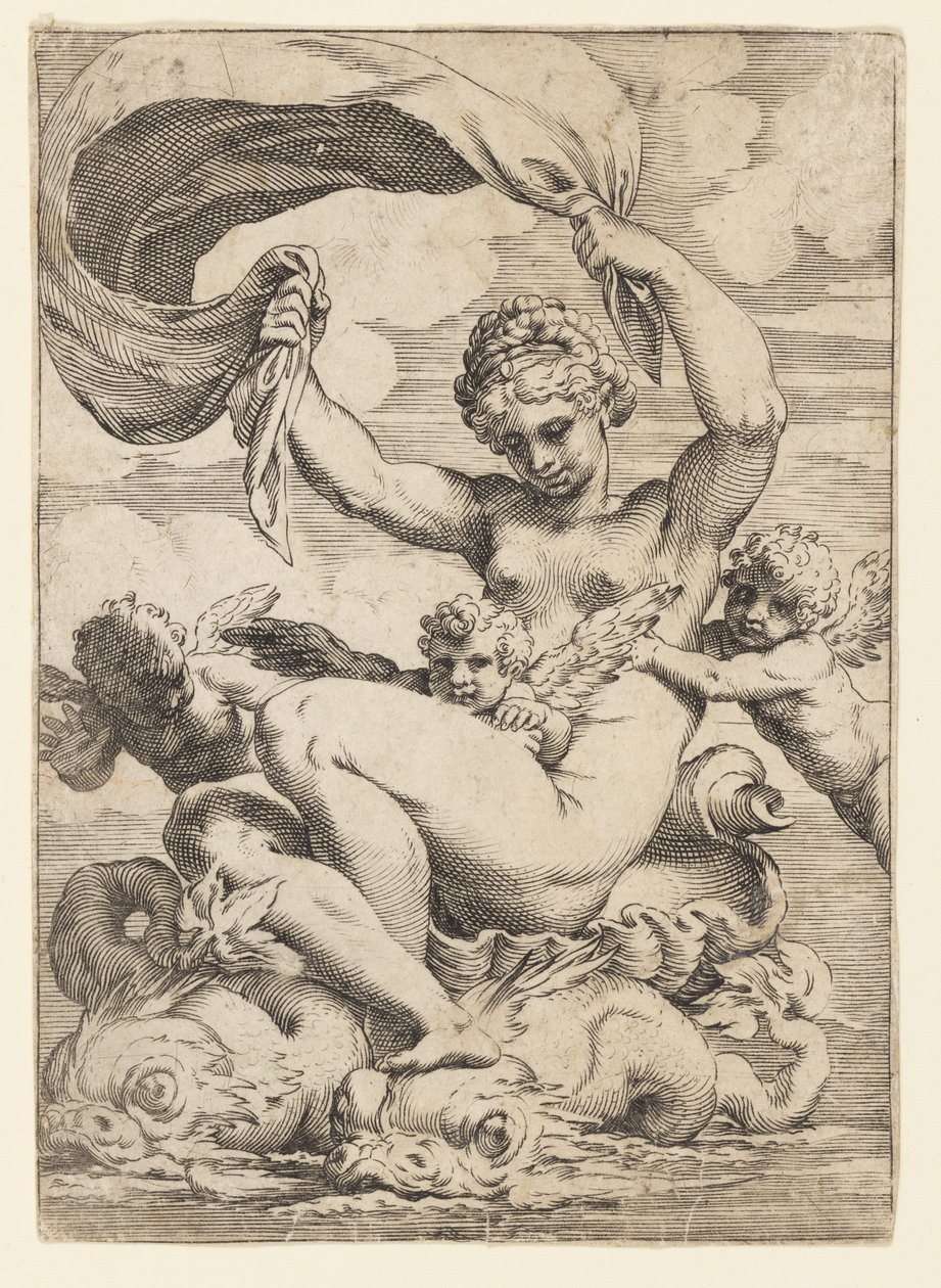 Vénusz (vagy Galatea) és a delfinek által támogatott Ámorok alkotó: Agostino Carracci