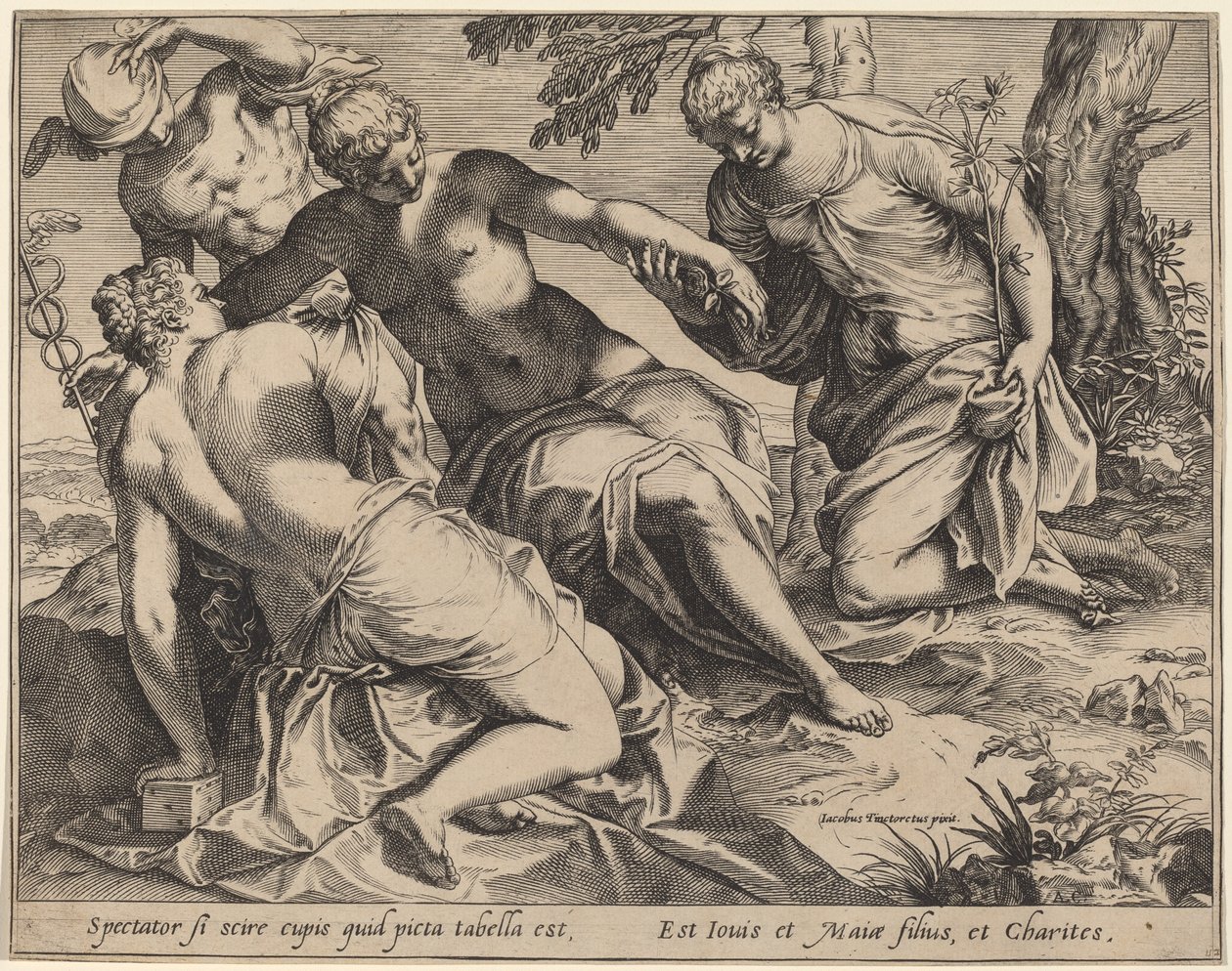 Merkúr és a három grácia alkotó: Agostino Carracci after Jacopo Tintoretto