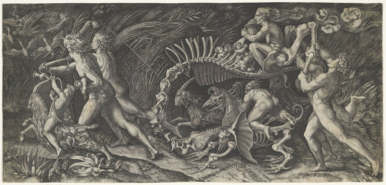 Het karkas A stregozzo alkotó: Agostino Veneziano